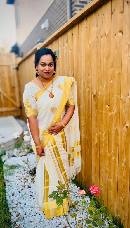 Handloom Cotton Saree featuring a classic temple border design - Image 4