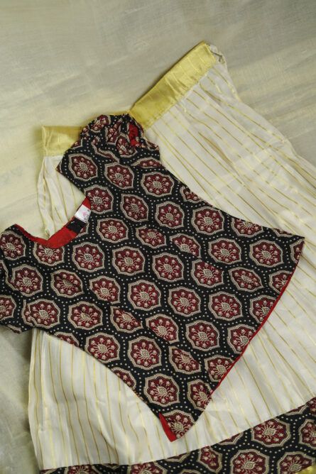Kids Skirt(Pavada)& Blouse - Image 3