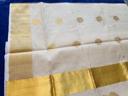 AC123  ,Limited Edition Handwoven Peacock Jari Tissue Saree – With Blouse - Image 5