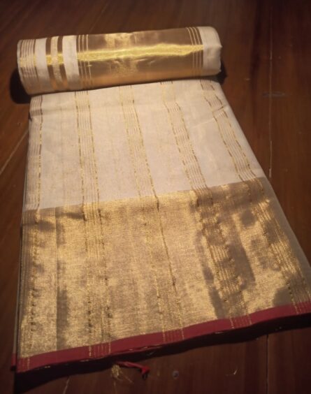 Pure Handloom Tissue Saree with 8-Inch Border – With Blouse - Image 3
