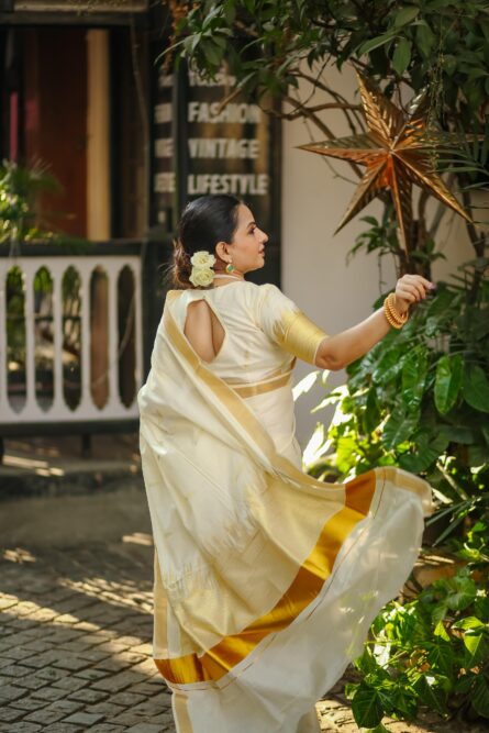 Set Saree - Image 3